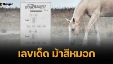 เลขเด็ด ม้าสีหมอก 1 พฤศจิกายน 2567