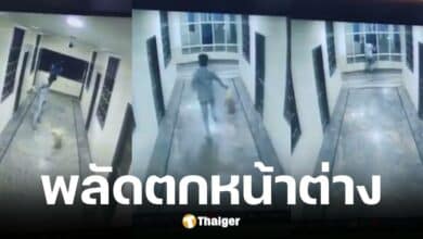 หนุ่มอินเดียพลัดตกหน้าต่างดับ หลังวิ่งไล่สุนัขไม่ทันระวัง
