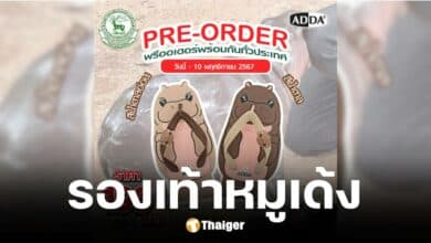 adda เปิดพรีออเดอร์รองเท้าหมูเด้ง สุดน่ารัก ใส่สบาย เพียง 199 บาท รายได้ส่วนหนึ่งช่วยเหลือสัตว์