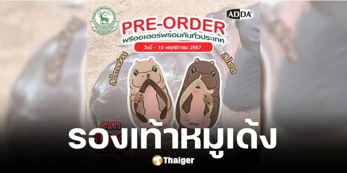 adda เปิดพรีออเดอร์รองเท้าหมูเด้ง สุดน่ารัก ใส่สบาย เพียง 199 บาท รายได้ส่วนหนึ่งช่วยเหลือสัตว์