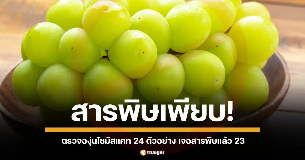 มูลนิธิเพื่อผู้บริโภค เผยผลสุ่มตรวจ องุ่นไชน์มัสแคท 24 ตัวอย่าง เจอสารพิษตกค้างเกินกำหนดเพียบ แถมส่วนใหญ่เป็นสารดูดซึม ล้างยังไงก็ไม่ออก