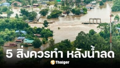 เปิด 5 สิ่ง 'ควรทำ' หลังน้ำลด แนะวิธีเช็ก 'เงินเยียวยาน้ำท่วม' เข้าวันไหน
