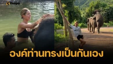 ขยี้ตา &quot;เจ้าหญิงมาเรีย&quot; เที่ยวพัทยา ถ่ายรูปคู่ช้าง ทว่าดันโดนแย่งซีนเต็ม ๆ