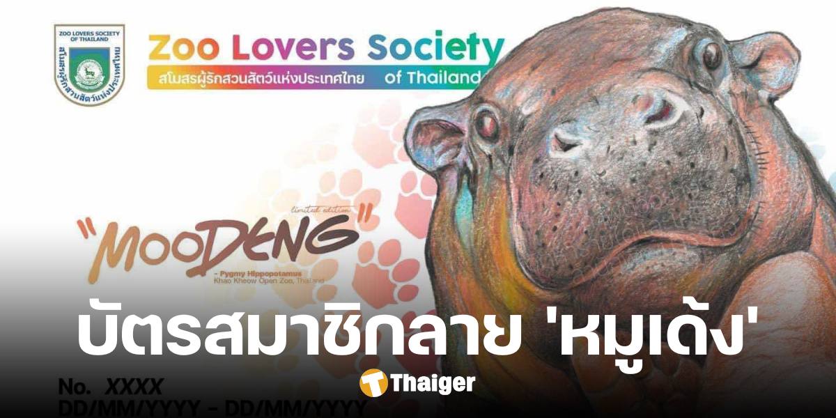 บัตรสโมสรผู้รักสวนสัตว์แห่งประเทศไทย ลาย 'หมูเด้ง' สิทธิพิเศษเพียบ รีบซื้อก่อนหมด