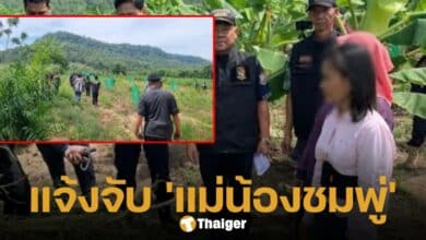 กรมป่าไม้ แจ้งจับ แม่น้องชมพู่ บ้านกกกอก บุกรุกป่าสงวน