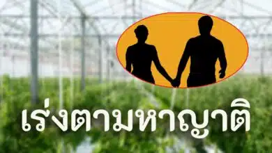 ศพคนงานไทยในเกาหลี