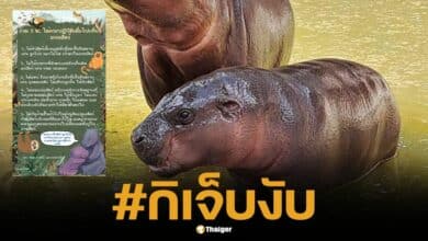 สวนสัตว์อุบลฯ จัดระเบียบ นักท่องเที่ยว หลัง &#039;น้องคากิ&quot; โดนปาหินใส่