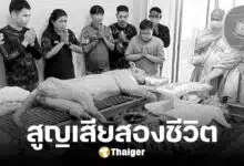 สุดเศร้า 'ย่าเดือน' เสือโคร่งรุ่นแรก ของบึงฉวาก สิงโต 'น้องเปรี้ยว' เสียชีวิตแล้ว