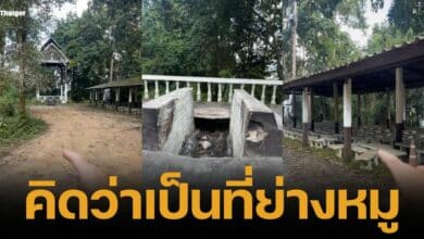 คลิปไวรัล ฝรั่งสำรวจสุสาน คิดว่าเป็นที่ย่างหมู ชาวเน็ตแห่เม้นต์ รีบออกมาด่วน