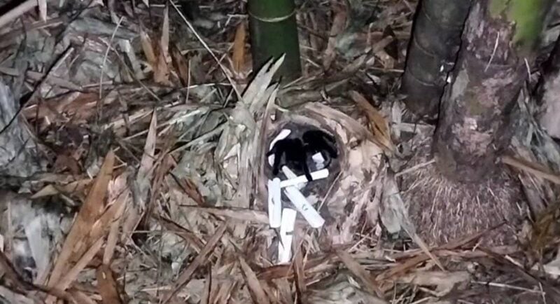 รูพญาบึ้ง ปราจีนบุรี ชาวบ้านแห่ขอเลขเด็ด หลังเคยให้โชคมาแล้ว