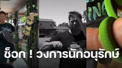 ดิงโกดิงเคิลแมน เสียชีวิต