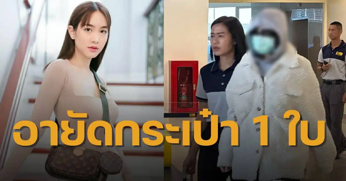 มินพีชญาอายัดทรัพย์ กระเป๋าเดินทางหลุยส์ วิตตอง