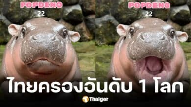 เปิดตัวเกม popdeng คนไทยทุบสถิติอันดับ 1