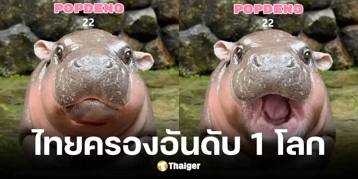 เปิดตัวเกม popdeng คนไทยทุบสถิติอันดับ 1