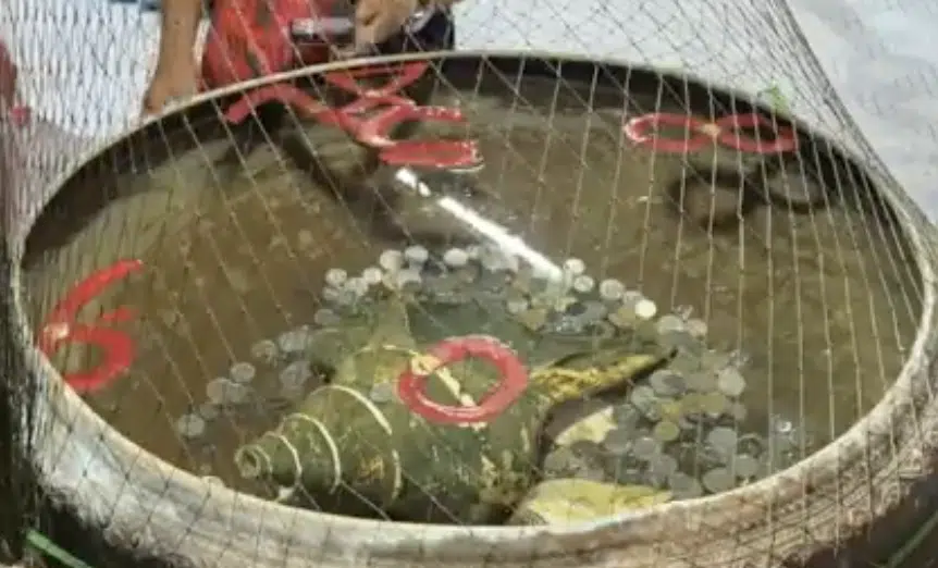 เลขเด็ดขันน้ำมนต์ ฤษีเณร มอยุธยา