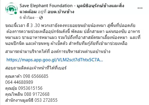 รับบริจาคผ้าห่มเก่าเพื่อ หมา-แมว น้ำท่วมเชียงใหม่-3