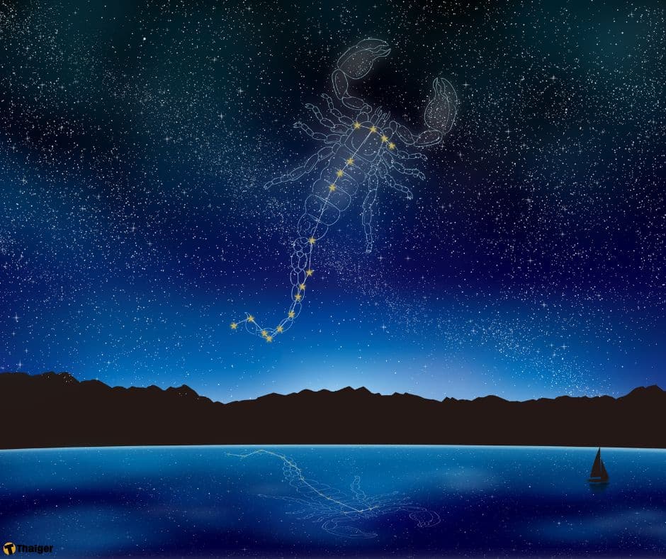 ภาพกราฟฟิคท้องฟ้า ราศีพิจิก รูปแมงป่อง