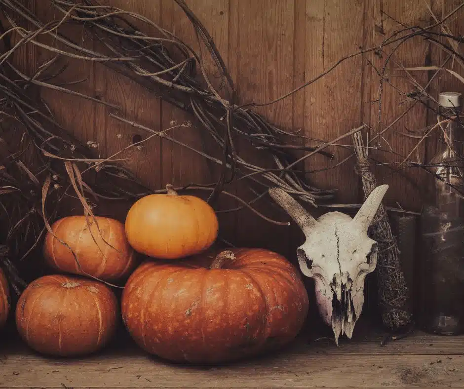 ฟักทองและกระโหลกสัตว์ ที่ตกแต่งในวันซัมเฮน