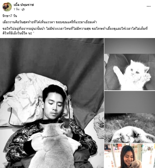 เบิ้ล ปทุมราช เศร้า สูญเสีย แมว ที่รักเหมือนลูก