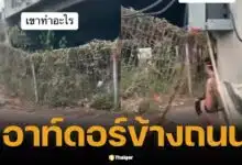 หนุ่มวิตถาร เอาท์ดอร์ข้างถนน กลางวันแสกๆ เพจดังแชร์คลิป พิกัดคุ้นๆ