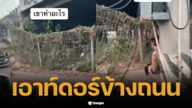 หนุ่มวิตถาร เอาท์ดอร์ข้างถนน กลางวันแสกๆ เพจดังแชร์คลิป พิกัดคุ้นๆ