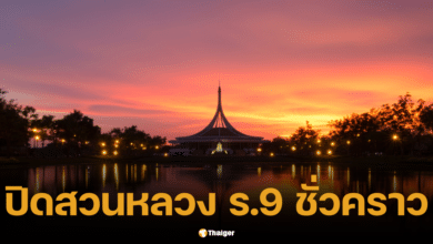 Announcement: Suan Luang Rama 9 does not have a Loy Krathong event in 2024. Check information before coming.