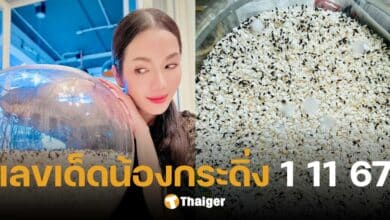 อ๋อม สกาวใจ แจกเลขเด็ด 'น้องกระดิ่ง' งวด 1 พ.ย. 67 ให้ชัดเต็มตา 3 ตัวตรง