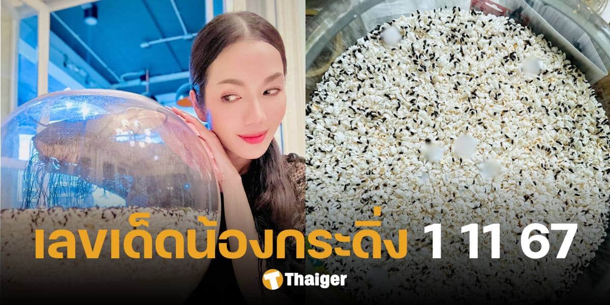 อ๋อม สกาวใจ แจกเลขเด็ด 'น้องกระดิ่ง' งวด 1 พ.ย. 67 ให้ชัดเต็มตา 3 ตัวตรง