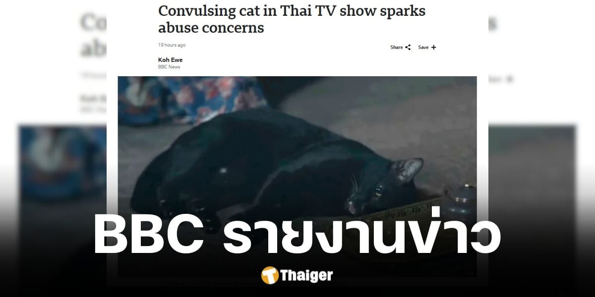 BBC รายงานข่าวซีรีส์ไทยแม่หยัววางยาสลบแมวเพื่อเข้าฉาก