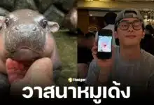 ชาอึนอู พระเอกซีรีส์เกาหลี โพสต์ภาพหมูเด้งในอินสตาแกรม ถูกแซวโดนหมูเด้งตก แฟนคลับอิจฉาวาสนาฮิปโป