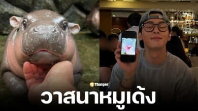 ชาอึนอู พระเอกซีรีส์เกาหลี โพสต์ภาพหมูเด้งในอินสตาแกรม ถูกแซวโดนหมูเด้งตก แฟนคลับอิจฉาวาสนาฮิปโป