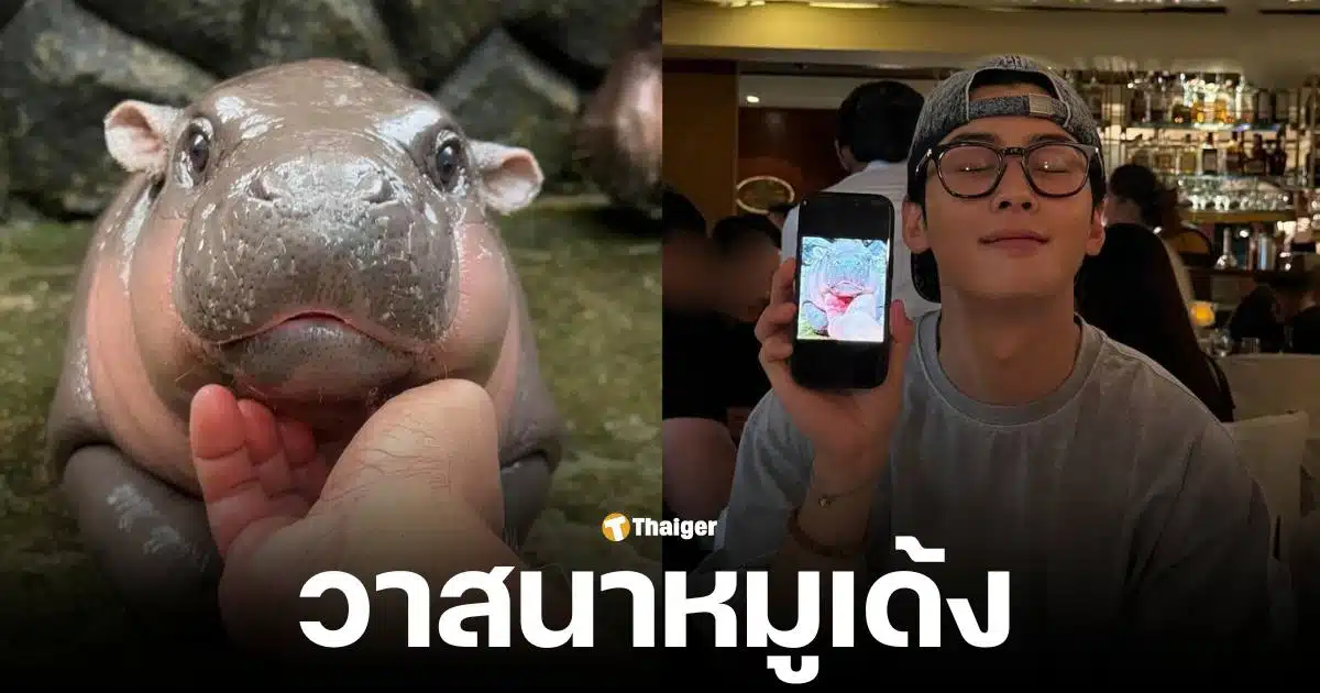 ชาอึนอู พระเอกซีรีส์เกาหลี โพสต์ภาพหมูเด้งในอินสตาแกรม ถูกแซวโดนหมูเด้งตก แฟนคลับอิจฉาวาสนาฮิปโป