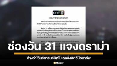 แถลงการณ์จากช่องวัน 31 เคลียร์ปม วางยานอนหลับแมวดำในซีรีส์แม่หยัว อ้างเป็นเมลมาจากบริษัทโมเดลลิ่งสัตว์ที่เป็นผู้เชี่ยวชาญการใช้สัตว์ถ่ายทำมานานกว่า 10 ปี ย้ำจะไม่ให้มีเหตุการณ์แบบนี้เกิดขึ้นอีก