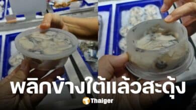 ลูกค้าไม่ทน ถ้วยใส่หอยนางรม ก้นตื้น เป็นชามข้าวหมา พิกัด ซุปเปอร์ฯ ชั้นนำ