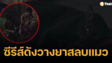 ดราม่าละครดัง แม่หยัว วางยาสลบแมว สัตวแพทย์เตือนอันตรายถึงชีวิต ทาสแมวร้องผู้จัด-ผู้กำกับ ชี้แจงด่วน