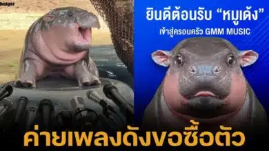 หมูเด้ง เป็นนักร้องแล้ว ค่ายเพลงดัง GMM Grammy เปิดตัวเป้นสมาชิกใหม่ ศิลปินดาวรุ่ง โปรเจ็กต์เพลง หมูเด้ง หมูเด้ง 4 ภาษา