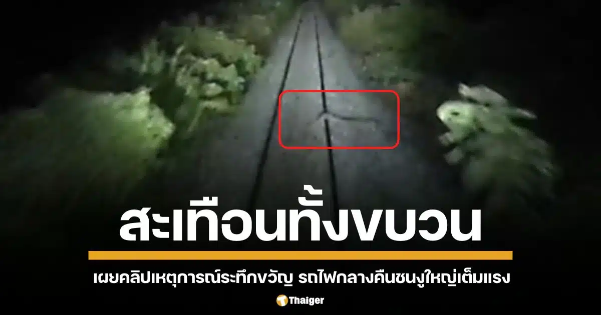 เผยคลิปเหตุการณ์ระทึกขวัญ ขณะรถไฟเที่ยวกลางคืนกำลังแล่นฝ่าความมืด จู่ๆ มีงูขนาดใหญ่โผล่ขึ้นมาบนรางรถไฟ คนขับรถไฟเห็นงูยักษ์ในระยะกระชั้นชิด ร้องตะโกนด้วยความตกใจ