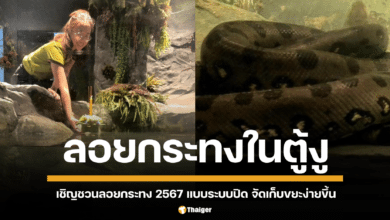 เพจ "สยาม เซอร์เพนทาเรียม" ปล่อยภาพไวรัล พนักงานสาวสวยลอยกระทงในตู้งู เชิญชวนให้ลอยกระทง 2567 แบบระบบปิด จัดเก็บขยะง่ายขึ้น ชาวเน็ตสงสัย นี่ลอยกระทง หรือ "เซ่นไหว้งู" กันแน่