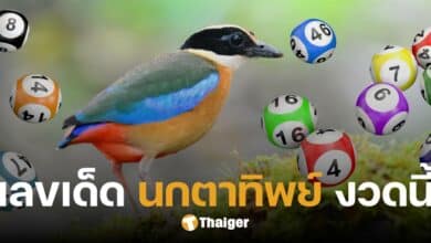 เลขเด็ด นกตาทิพย์ งวด 1 ธ.ค. 67 แนวทางลอตเตอรี่ ฉบับรางวัลเลขท้าย