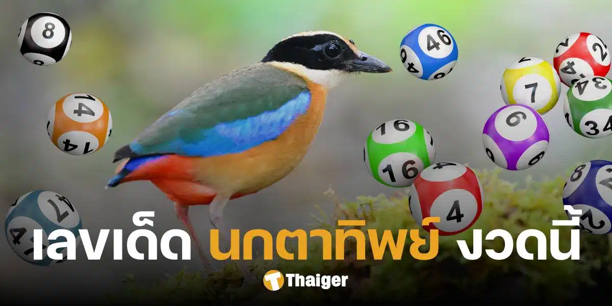 เลขเด็ด นกตาทิพย์ งวด 1 ธ.ค. 67 แนวทางลอตเตอรี่ ฉบับรางวัลเลขท้าย