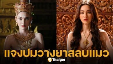 ใหม่ ดาวิกา แจงปม แม่หยัว วางยาสลบแมว ยัน ไม่รู้รายละเอียดในการถ่ายทำ ส่วนตัวรักสัตว์และไม่สนับสนุนการทารุณสัตว์อยู่แล้ว