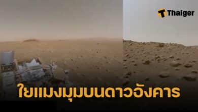 นาซา ค้นพบ 'ใยแมงมุม' บนดาวอังคาร อาจเป็นร่องรอยสิ่งมีชีวิตต่างดาว