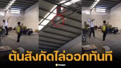 เล่นไม่รู้เรื่อง ขนส่งโยนพัสดุเสียหายสนุกสนาน ต้นสังกัดไล่ออกทันที