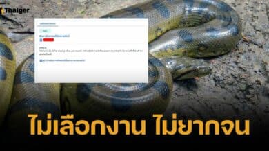 ชาวเน็ตขนลุก งานให้อาหารงูอนาคอนด้า ค่าตอบแทนเลิศ &quot;ประกันชีวิตฟรี&quot;