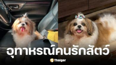 เจ้าของแชร์อุทาหรณ์พาสุนัขไปอาบน้ำ แต่เจ้าหน้าที่ทำตกโต๊ะจนตาบอด 2 ข้าง
