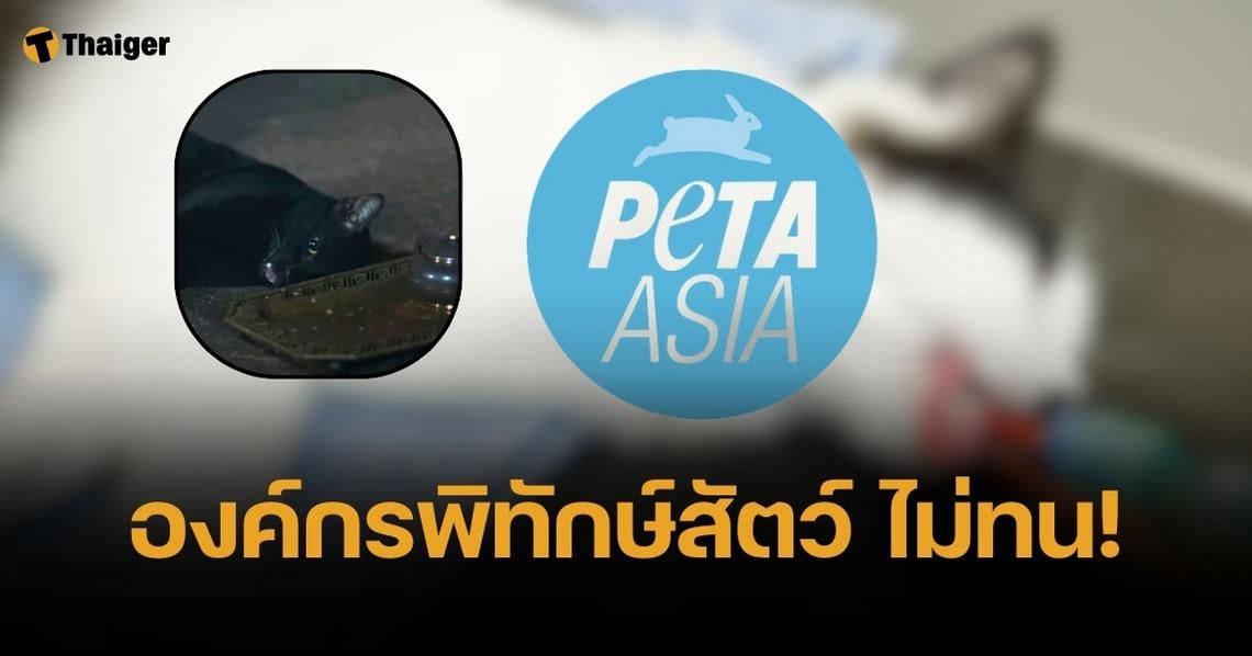 PETA จวก ผู้กำกับแม่หยัว ควรถูกห้ามทำงานกับสัตว์ ปมวางยาสลบแมว