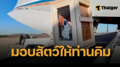 ปูติน ซึ้งใจ เกาหลีเหนือ สละทหารช่วยรบยูเครน มอบ &#039;ฝูงสัตว์&#039; ตอบแทน