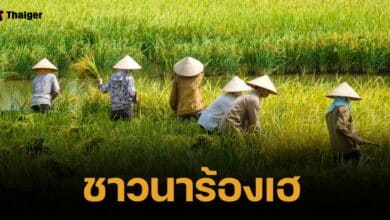 เคาะเงินช่วยเหลือเกษตรกร ไร่ละ 1000 บาท จ่อออกหลักเกณฑ์เร็ว ๆ นี้