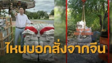 สิงห์แกะสลักจากจีนอาจารย์อ๊อด