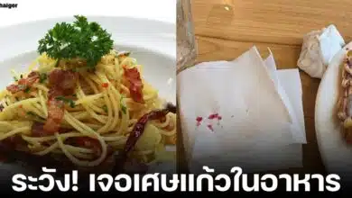 ลูกค้าเจอเศษแก้วในสปาเก็ตตี้ ร้านพิซว่าชื่อดัง บาดจนเลือดออก รับผิดชอบค่ารักาาพยาบาล